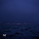 Serenity Single