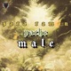 Pacha Male Single