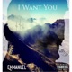 I Want You Single