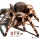 Gtv Single
