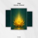 Feeling Strange Single