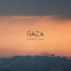 Gaza Single