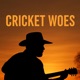 Cricket Woes Single