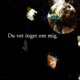 Du vet inget om mig Instrumental Single