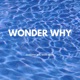Wonder Why feat Adam Bomb Quackish DJ Nana remix Single