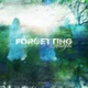Forgetting Single