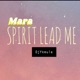 Mara Spirit Lead Me Single