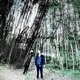 Herbivore Single