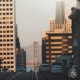 Verdant Single