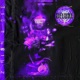 2 HIGH 2 DIE Deluxe