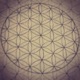 DeepTrap Single