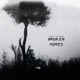Broken Homes Single