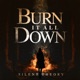 Burn It All Down Single