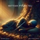 Mittar Pyare Nu Single