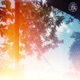 Daylight Single