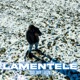 Lamentele Single