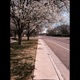 Cold Summers feat Retr0sdf Single