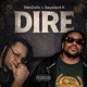 DIRE feat Seyelent K Single