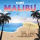Malibu Single