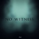 No Witness EP