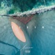 Tsunami Single
