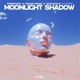 Moonlight Shadow feat Ninkid Single