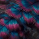 Seraphim Single