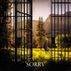 Sorry Single
