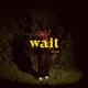 Wait Remix Single
