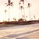 you feat Dani Trebek Single