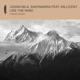 Like the Wind feat Millicent Single