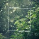 Scattered Ashes feat Azentrix Single