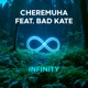 Infinity feat Bad Kate Single