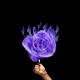 Purple Dreams Single