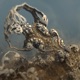 Fossil EP