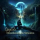 Moonbeams In Streams feat Nityansh Tripathi Swetha Ashok Single