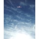 Fallacy Single