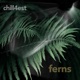 Ferns Single