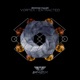 Vortex Extracted Single