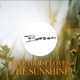 Everybody Loves the Sunshine Single