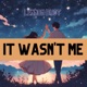 It Wasn t Me Single