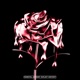 erai doar a mea feat WrstDanny Single