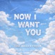 Now I Want You Single