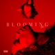 BLOOMING VOL 1 EP