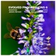 Evolved Progressions 6