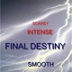 Final Destiny Single
