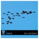 Say Goodbye Single