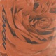 Honey Remastered feat Hunter Rose Single