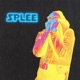 Splee