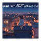 Night Sky feat jessy flyy Single